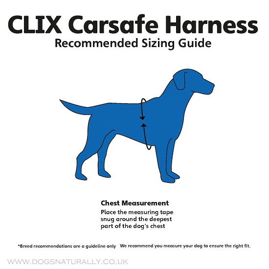 Clix Car Safe Measuring Guide